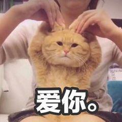 DƬ